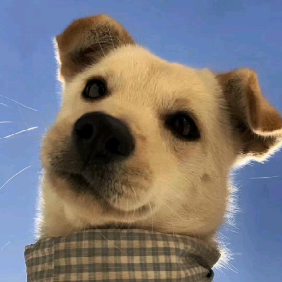 维尼小洁.