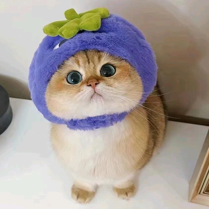 草莓粉熊熊
