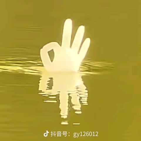 深情律师顾言白头像