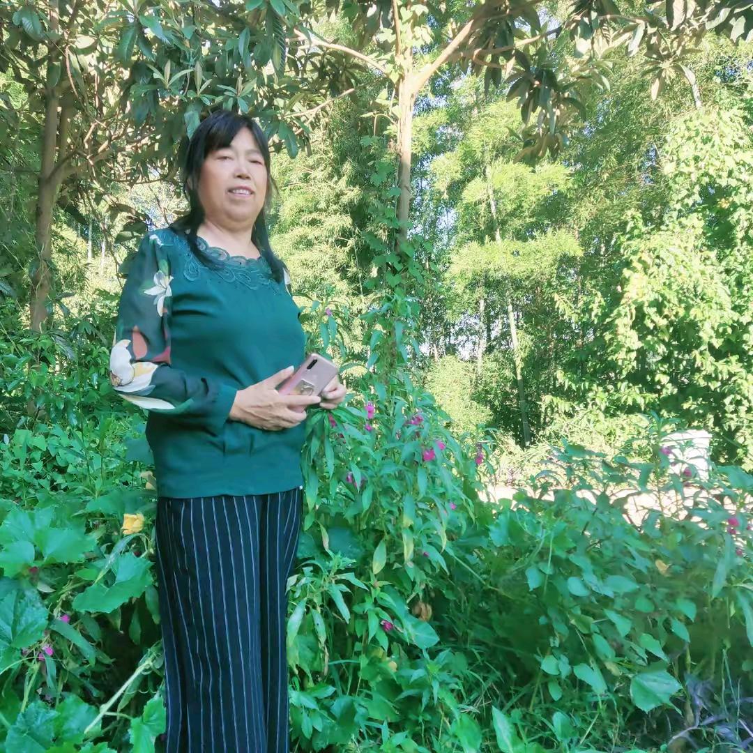 袁立平