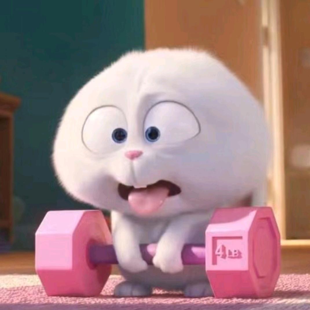 碎碎星🌟（努力减肥中）