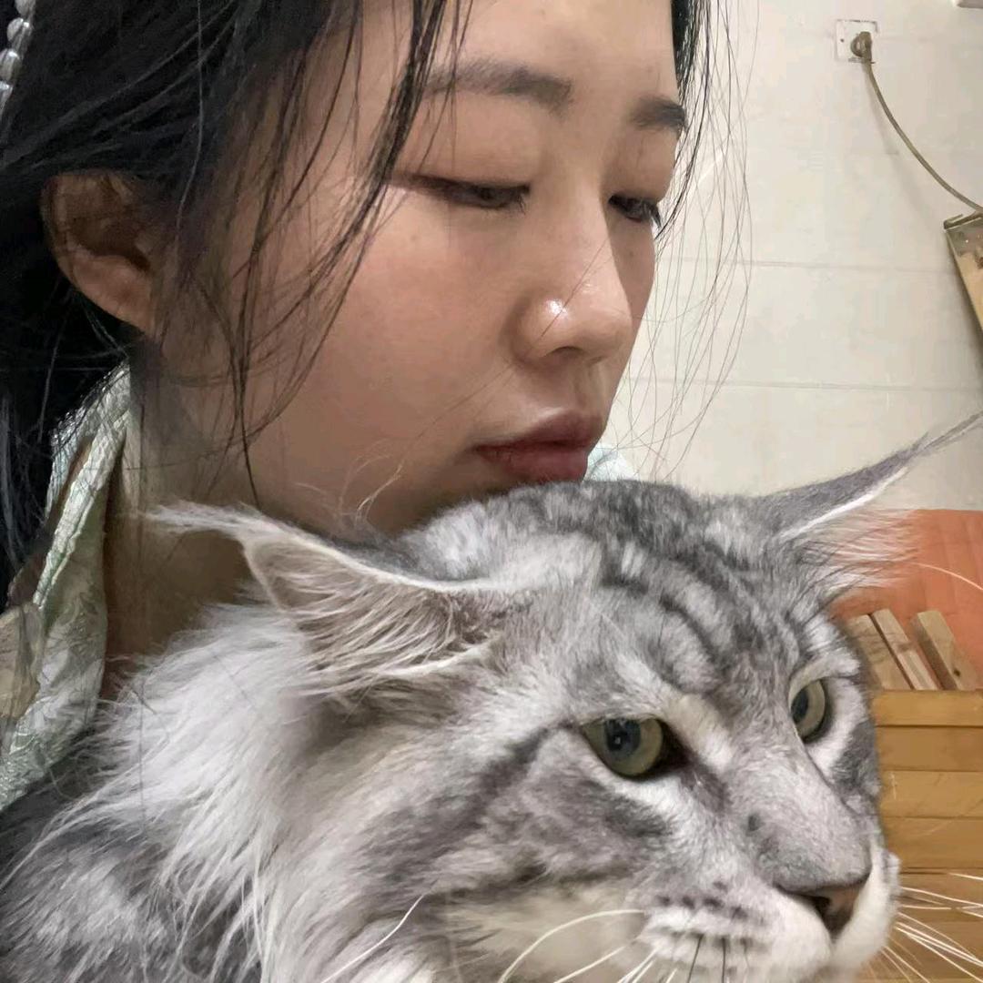 元宝是猫不是狗