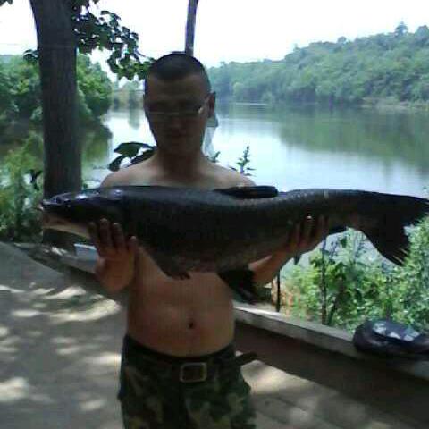 小伊猎青   青鱼高科技