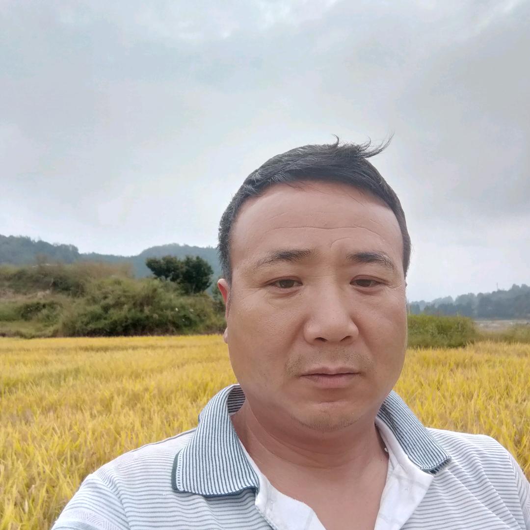 杨正，孤单的人