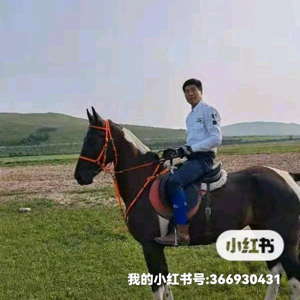 独坐一盏茶