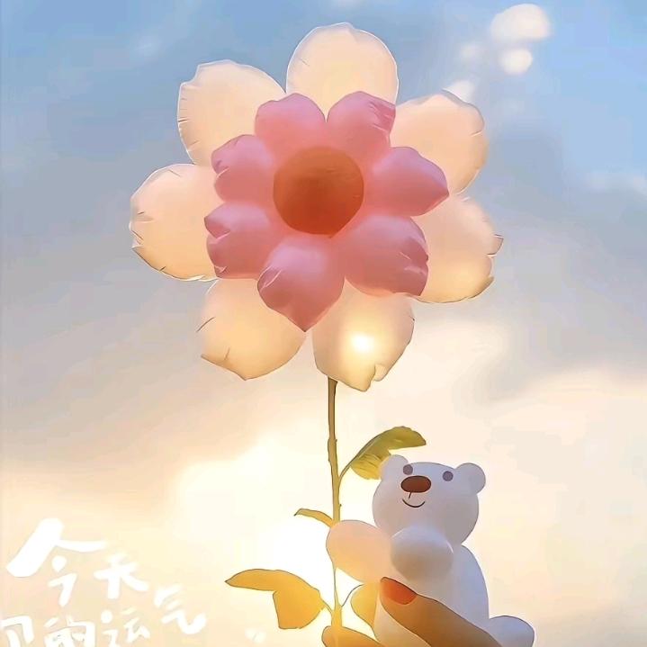是韭菜吖