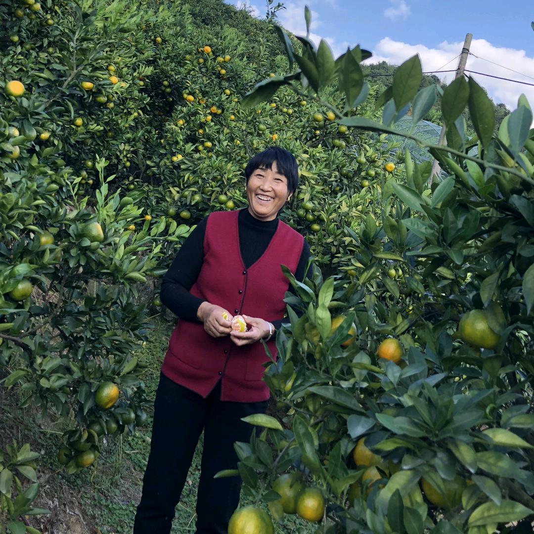 花开富贵花好月圆