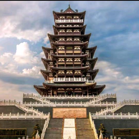 雄鹰飞起