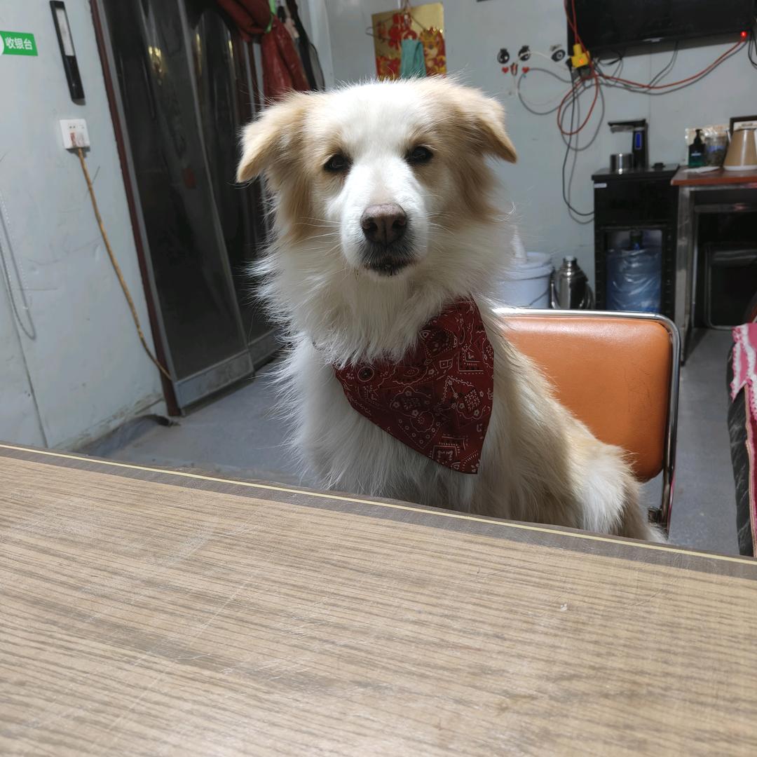 家的味道