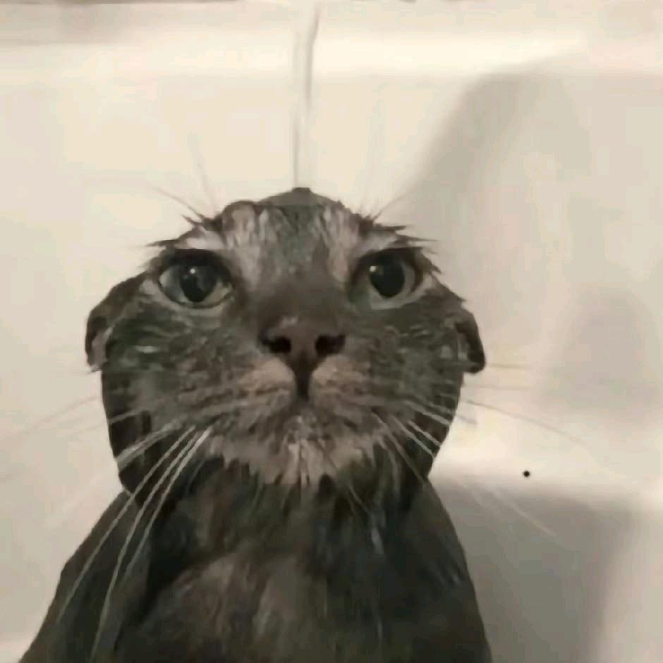 yYy