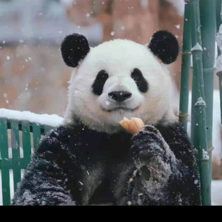 青梅旭史