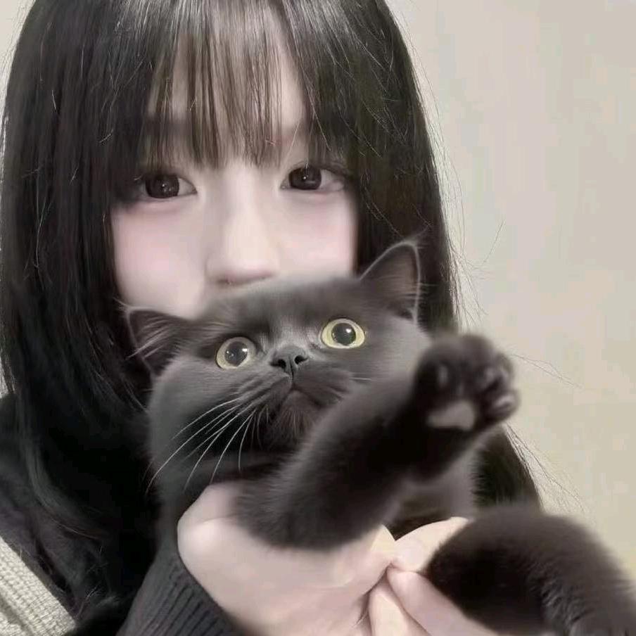 眠雨.