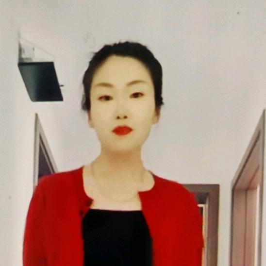 凤凰飞