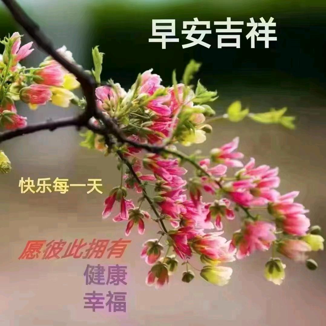 【木子:】姐