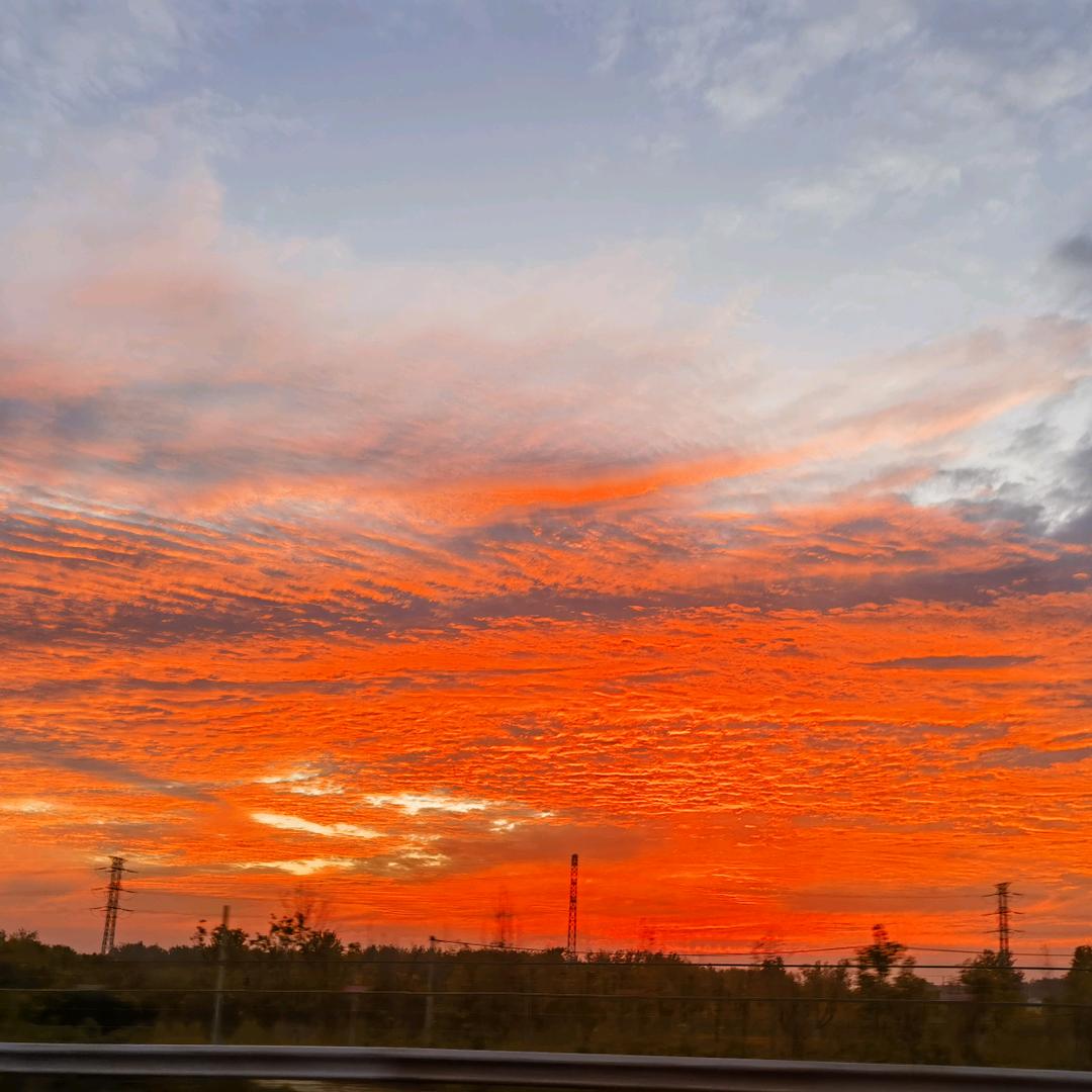 悟空烤八戒