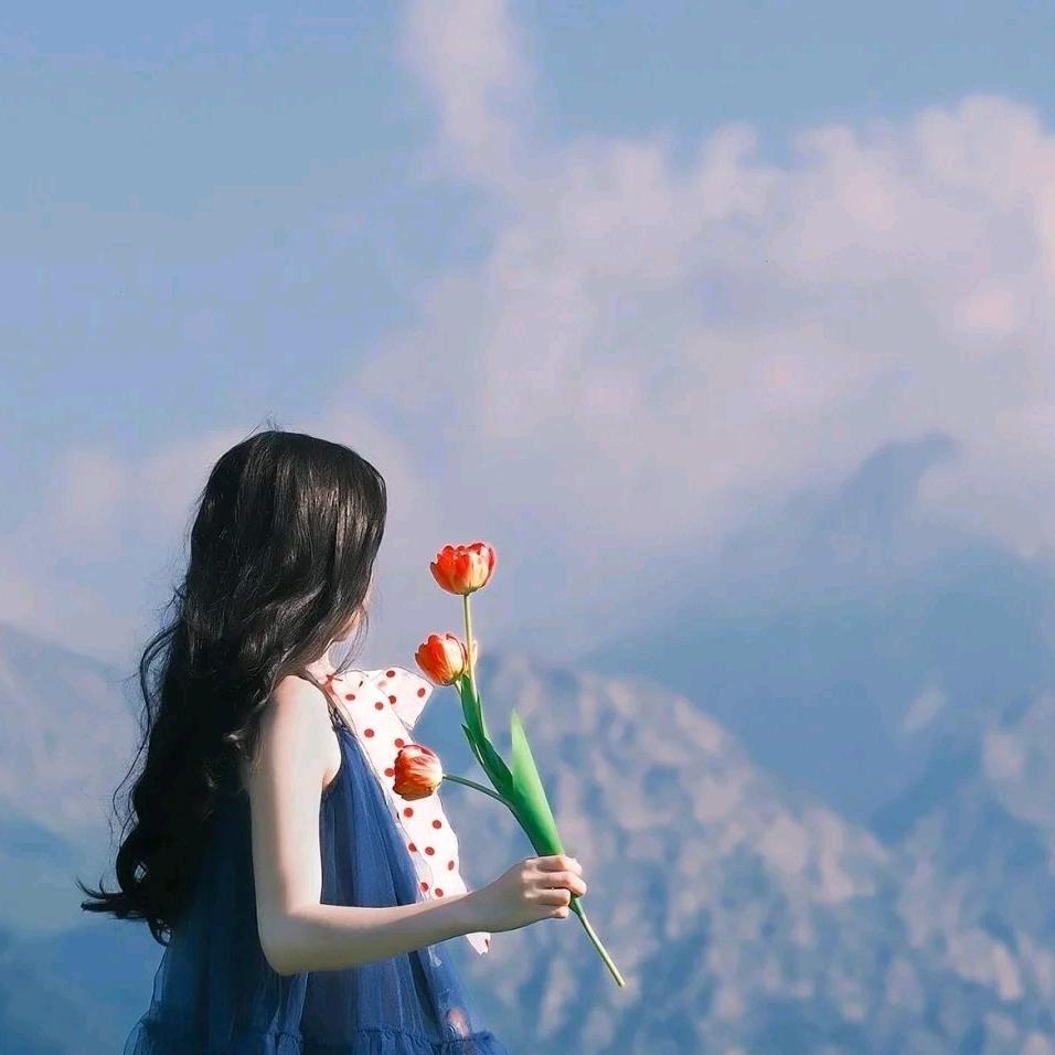 十一🎀