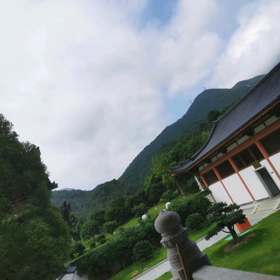 薰衣草