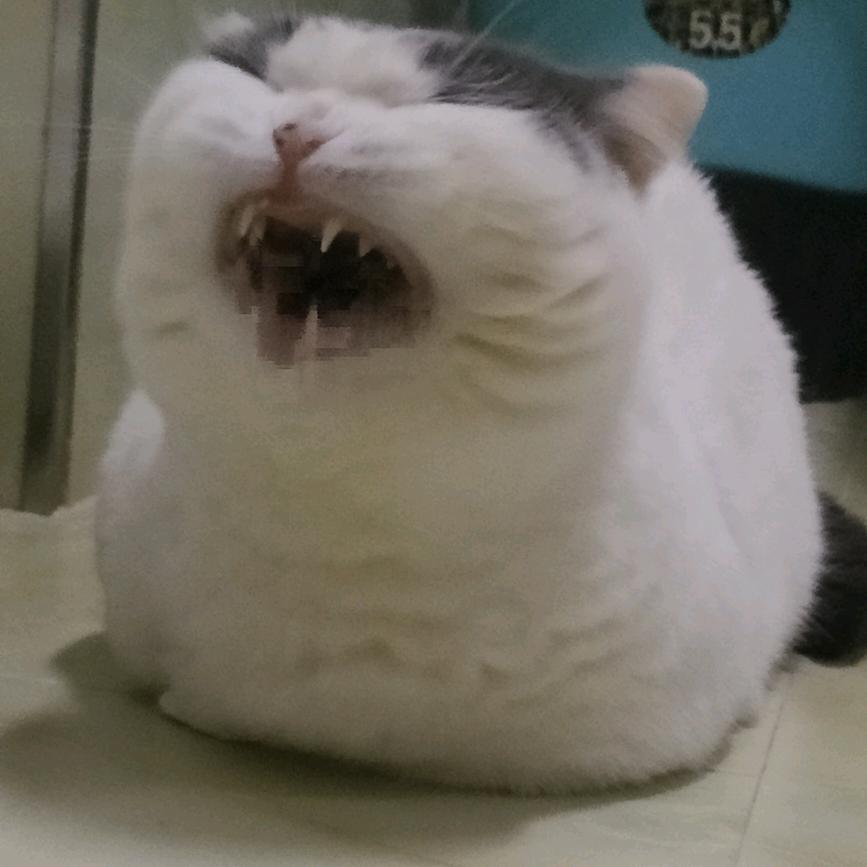 ㅤ       。