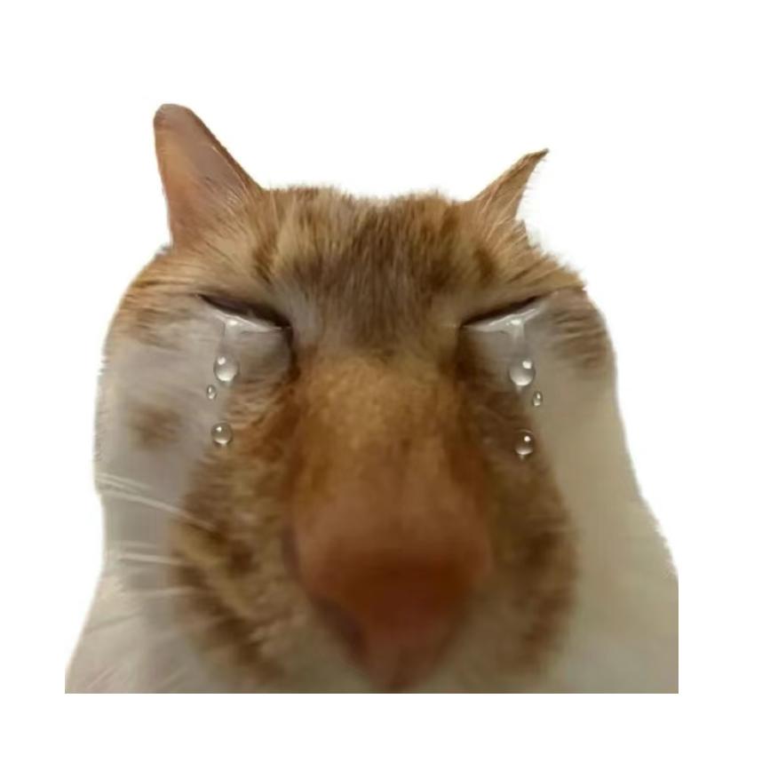 我补药早睡