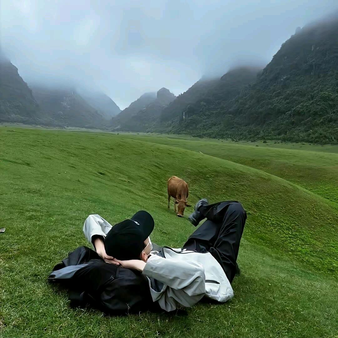 凌落