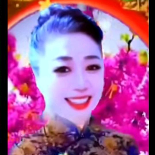 冮凤菊，，，荷花