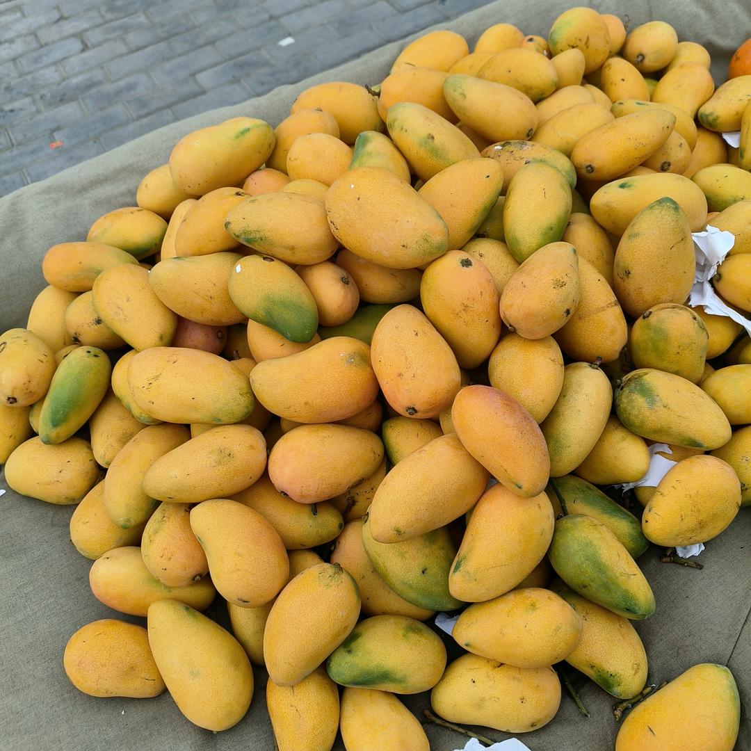 摆地摊卖水果人(橱窗水果)