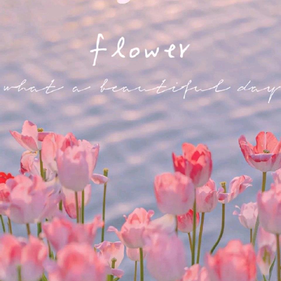 柿妳呀s⁴⁰¹⁰⁹