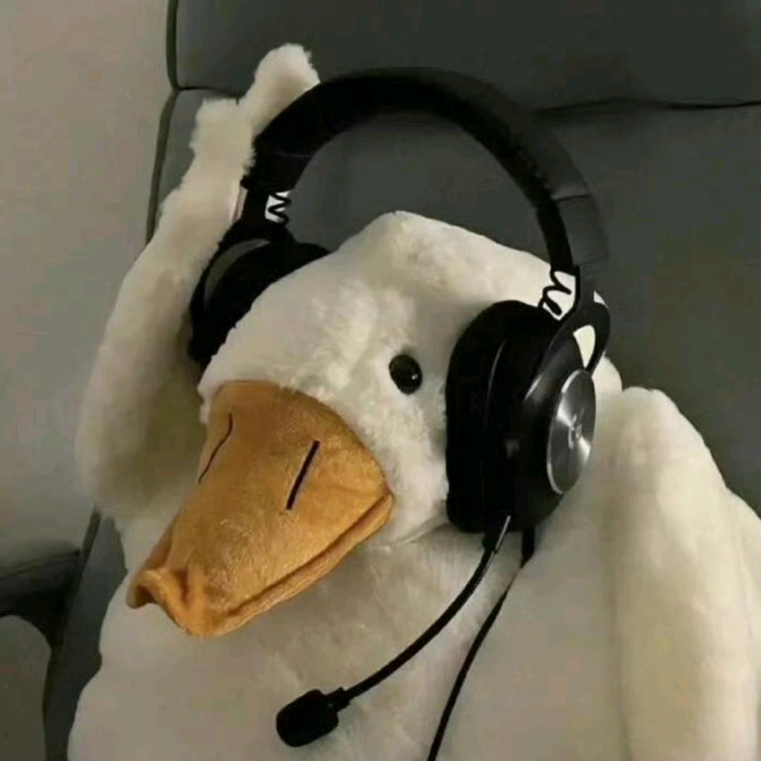 失眠先生