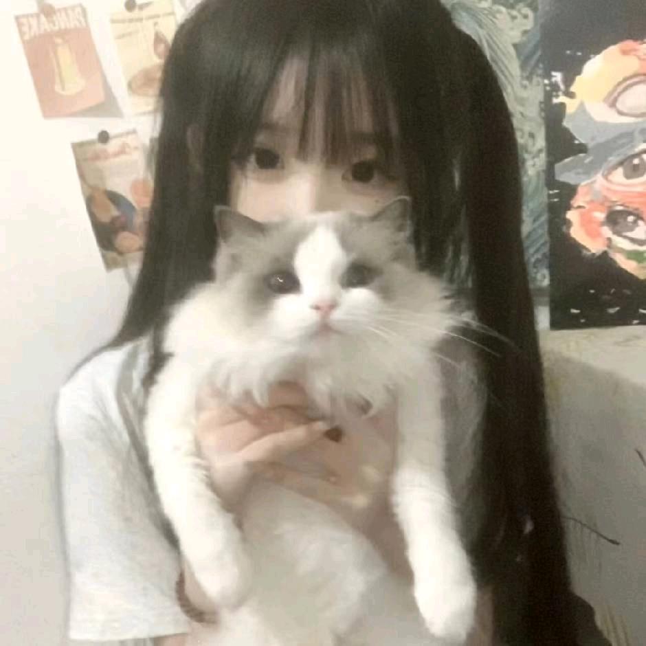 犯困小咩咩