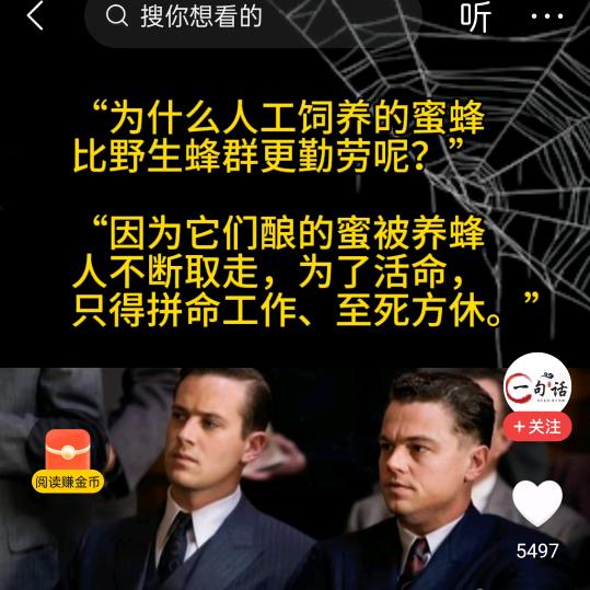 如风