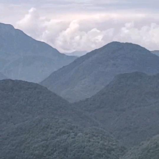 幺吆