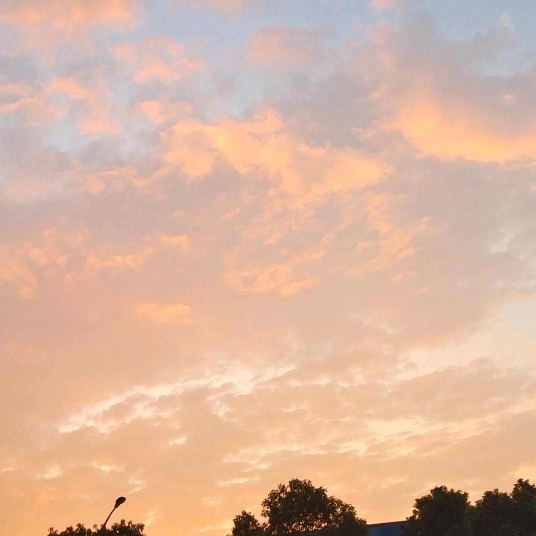 放荡不羁的少年