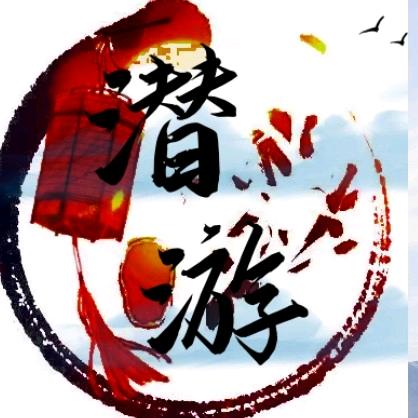 望立网络