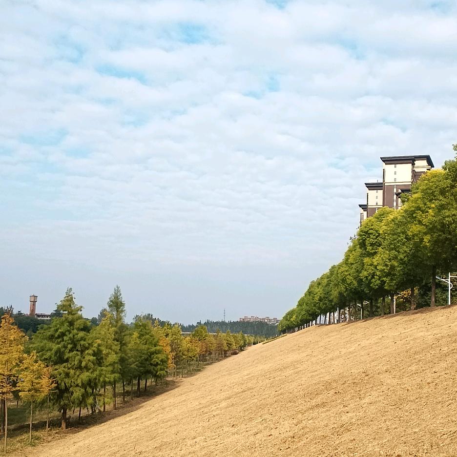 开心果(∗❛ัᴗ❛ั∗)（有关必回）