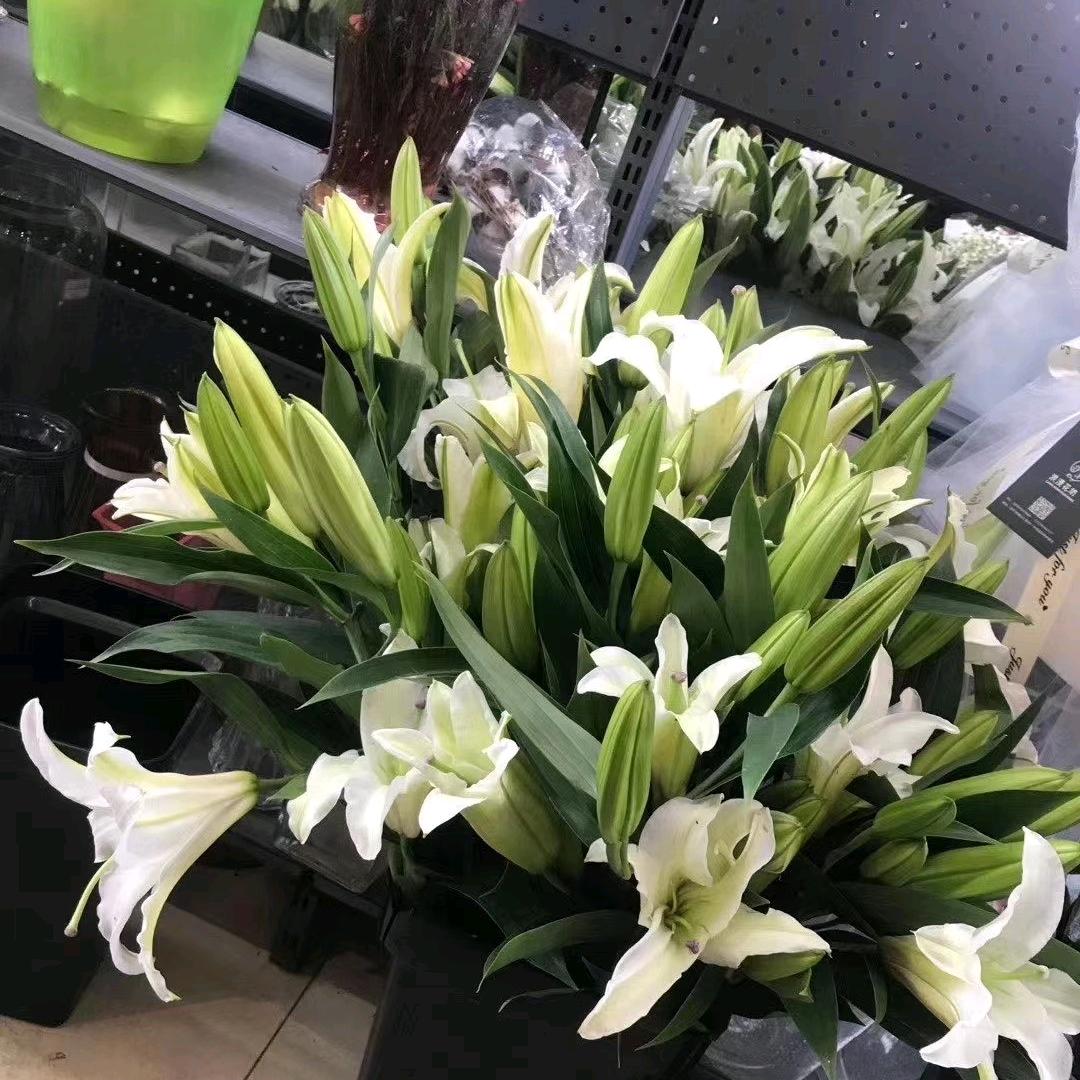 励志芳姐