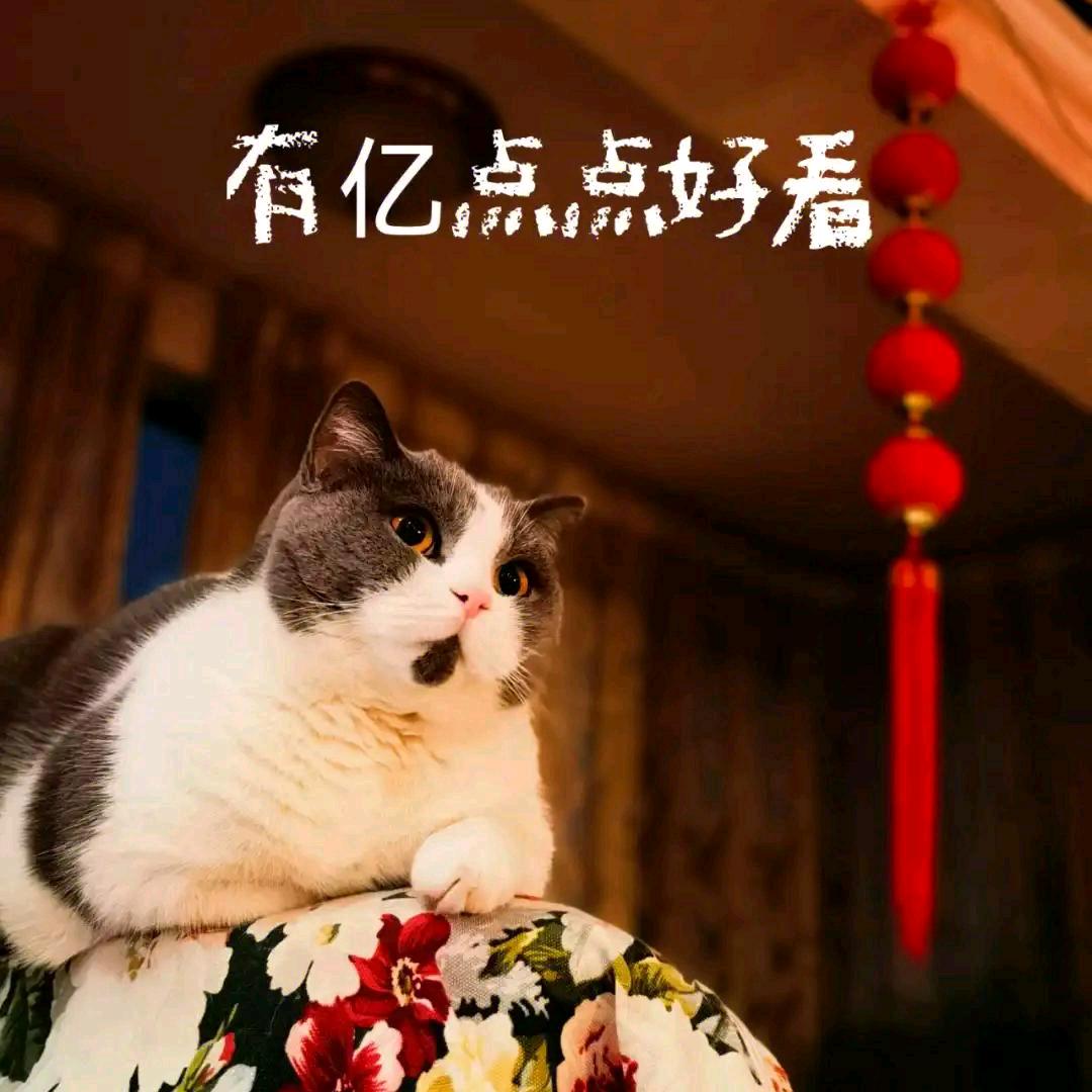 ⁽⁽ଘ(๑ơ 西伯野狼 ơ๑)ଓ⁾⁾