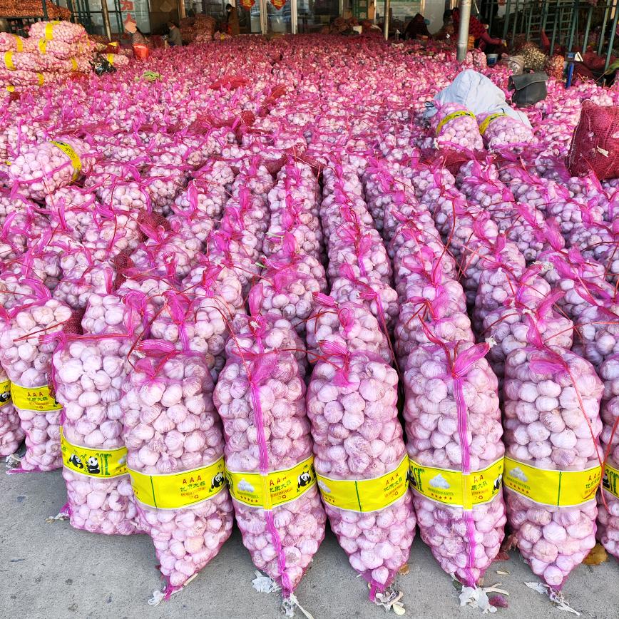 金乡县泊鸿农贸有限公司