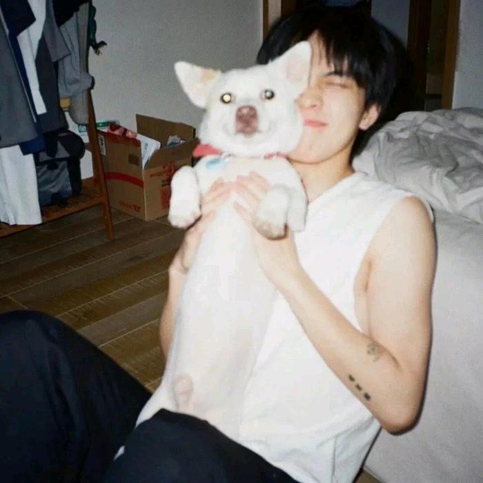 就叫你呆瓜好了