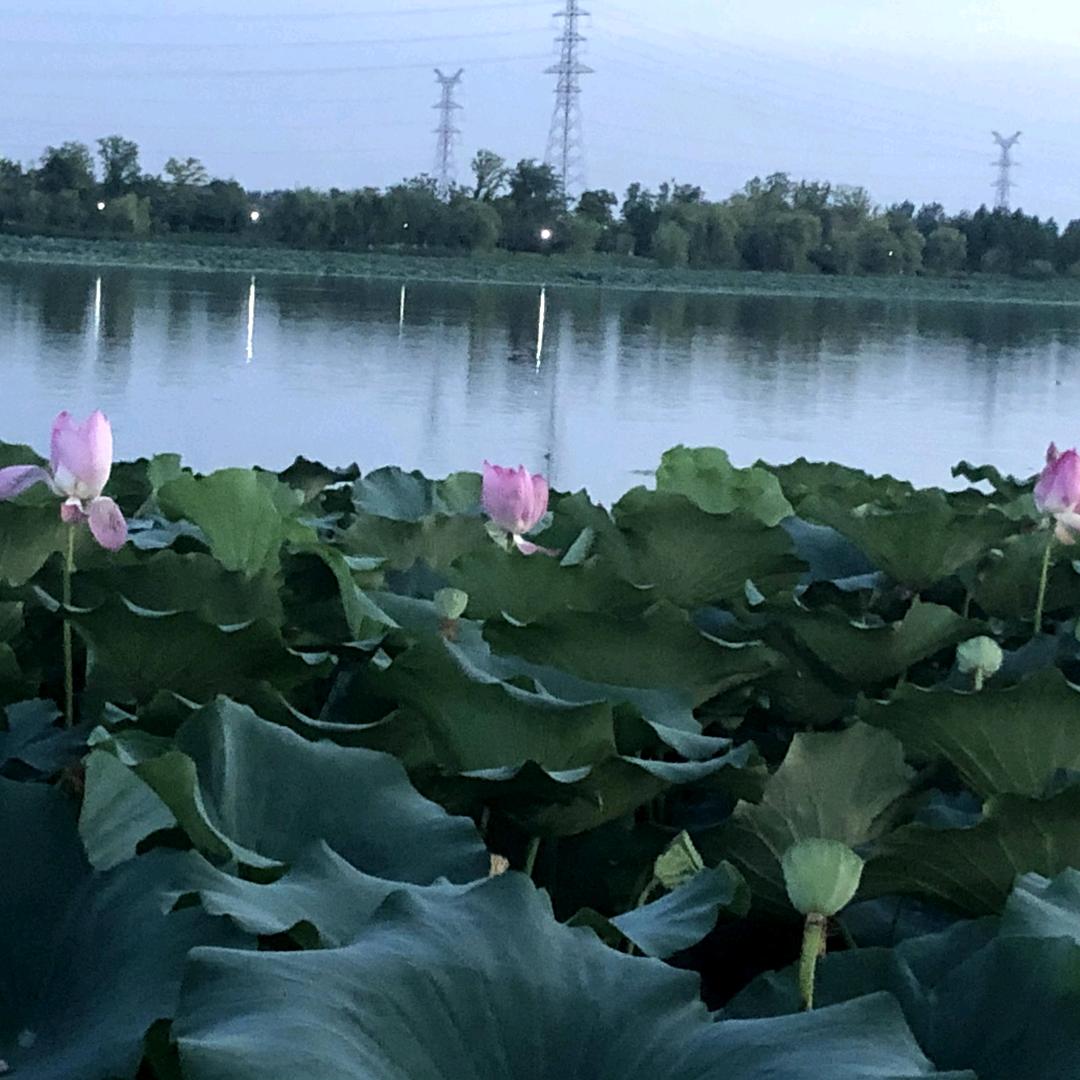 今后的路