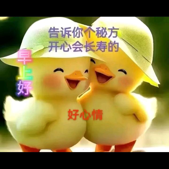 无量善缘，让爱流动。