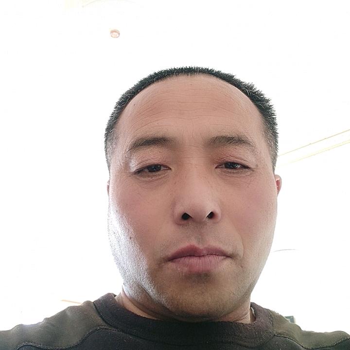 风行万里