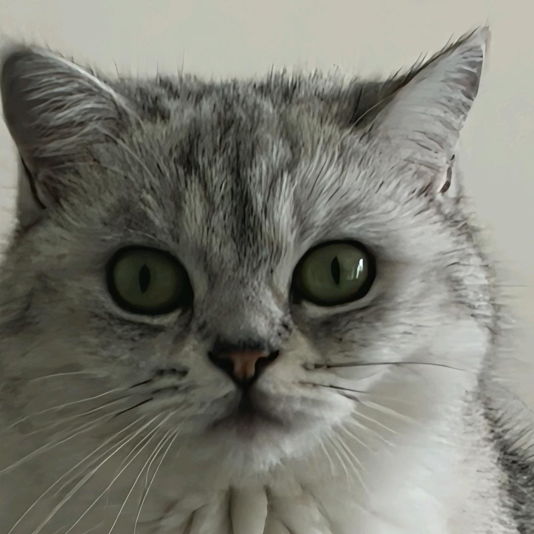 绵绵诗🐰💛🖤❤️