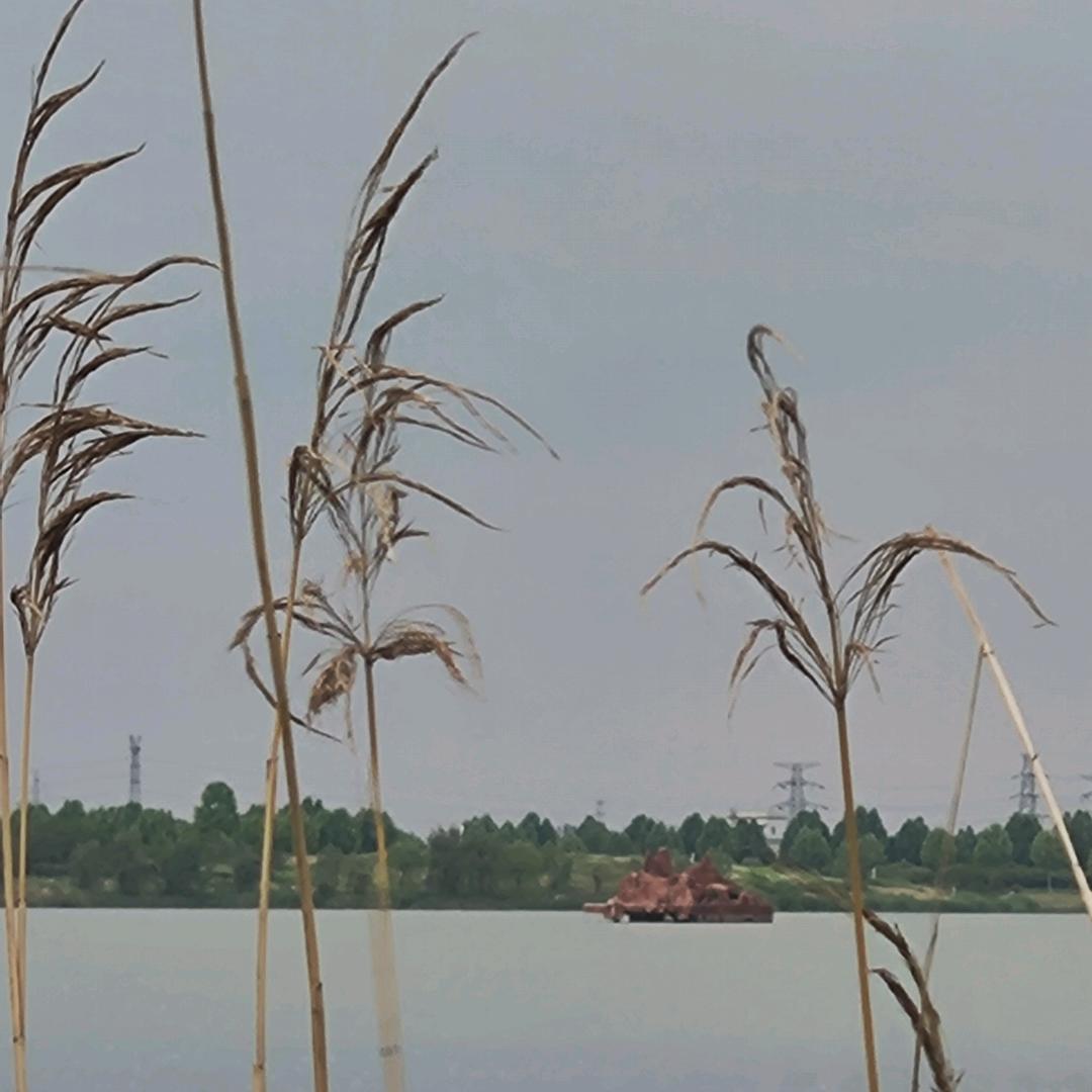 人不犯我，我不犯人。