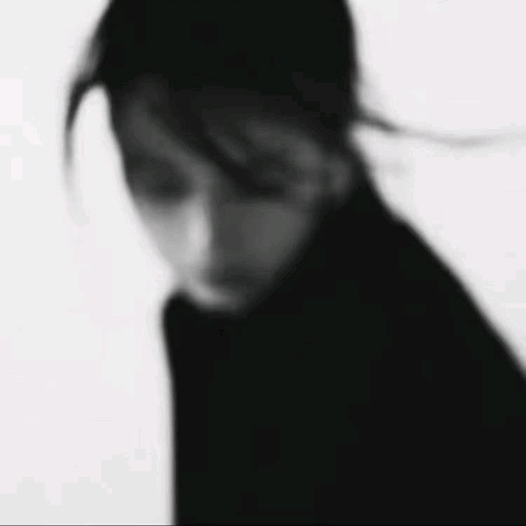 🦈ㅤㅤ