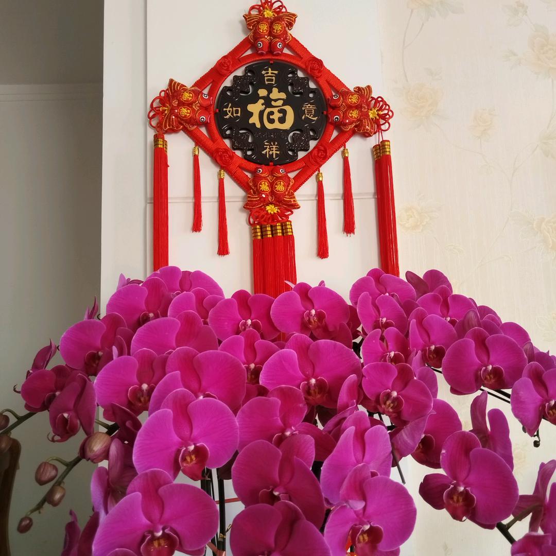 一场相遇&一生铭记