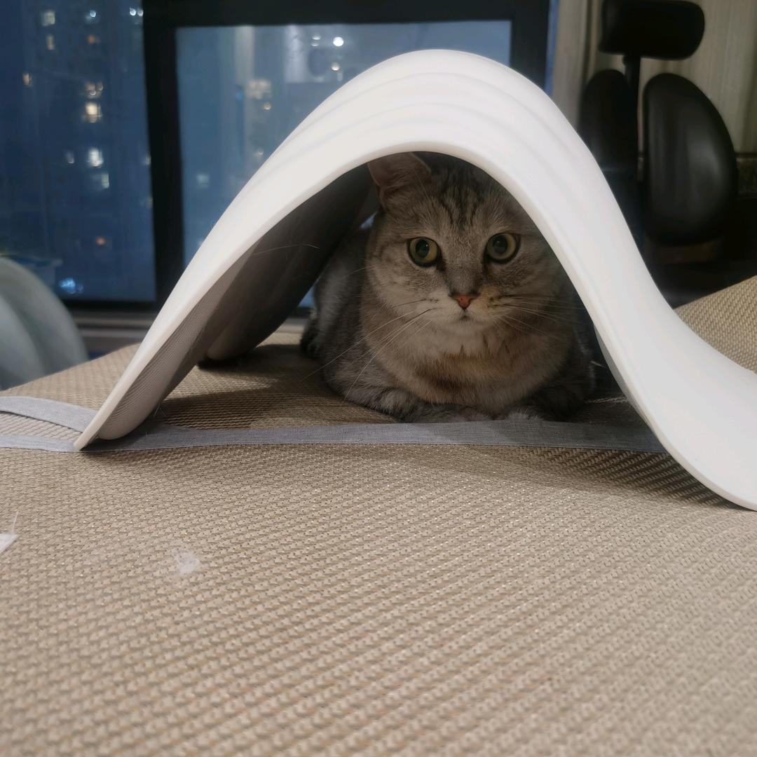 城南月色