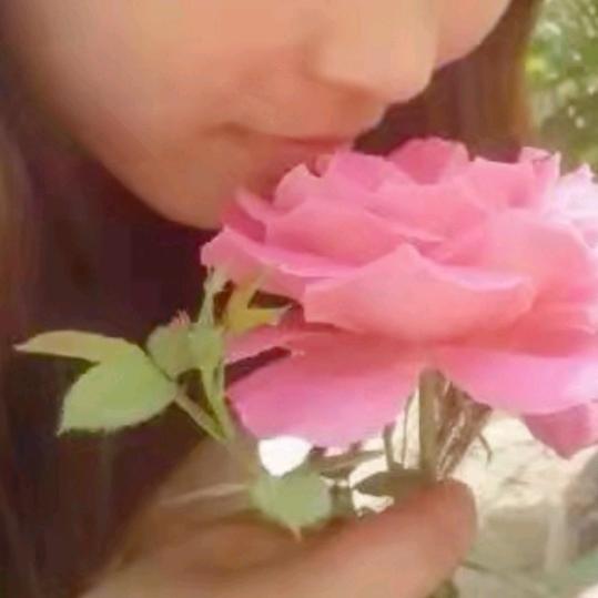 小平ya🌸🌸🌸(橱窗已开)