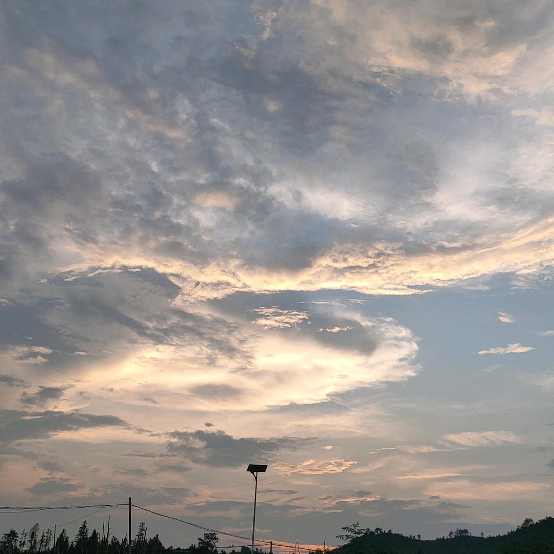 陈家小老五