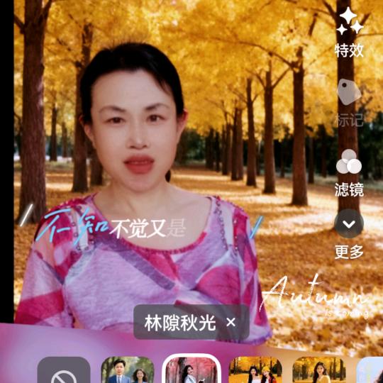六月的连