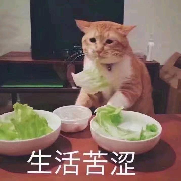 烟雨挽歌